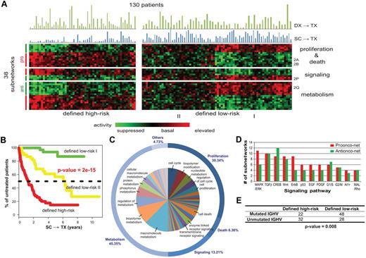 Figure 3. Subnetwork signatures of CLL disease progression. (A) Activity of the 38 significant subnetworks (rows) across the 130 patients (columns). The color of each block scales with the activity level of a subnetwork in a particular patient. Patients are clustered into high/low-risk groups, and subnetworks are clustered into 3 functional categories (proliferation and death, signaling, and metabolism). Blue bars above the heatmap show the intervals of SC→TX for each sample while green bars chart the intervals of DX→TX. (B) Kaplan-Meier analysis yields treatment-free probabilities with regard to the 3 risk groups defined by subnetwork activity patterns. (C) Distribution of the predominant cellular functions associated with the 38 subnetworks. Related functions are clustered into categories named on the outer circle. The marked functions in the inner circle are associated with at least 2% of the subnetworks. See supplemental Figure 4 for all enriched functions. (D) Top enriched signaling cascades. Bars show numbers of the 38 subnetworks, which have member genes involved in each pathway. (E) Comparison of patient stratification by subnetwork prognosis versus IGHV mutation status.