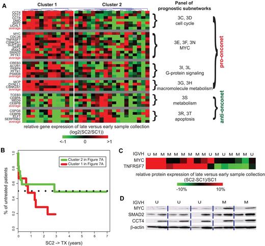 Figure 7. Serial gene and protein expression of example subnetwork genes during disease progression. (A) Gene expression changes in serial samples of 30 additional patients registered at UC San Diego. Rows and columns represent genes and patients, respectively. The color of each block scales with the log2-transformed ratio of a gene in the earlier sample (SC1) compared with the later sample (SC2) of a particular patient. Both SC1 and SC2 are before TX. The “average” rows illustrate the averaged expression change of genes in similar subnetworks across patients. Genes participating in similar subnetworks are clustered together and the figures of the corresponding subnetworks are indexed next to each cluster. Patients are clustered based on their changes on gene expression by a hierarchical clustering dendrogram. (B) Survival analyses on SC2→TX are shown for both cluster 1 (red line) and cluster 2 (green line) segregated by gene expression changes in panel A. (C) Heatmap of protein expression changes of MYC and TNFRSF7 measured by flow cytometry in serial samples of 16 patients registered at UC San Diego. Colors represent the percentage of change in median florescence intensity of a protein in the later sample compared with the earlier sample of a particular patient. (D) Immunoblotting of MYC, SMAD2, and CCT4 in serial samples of 5 patients.