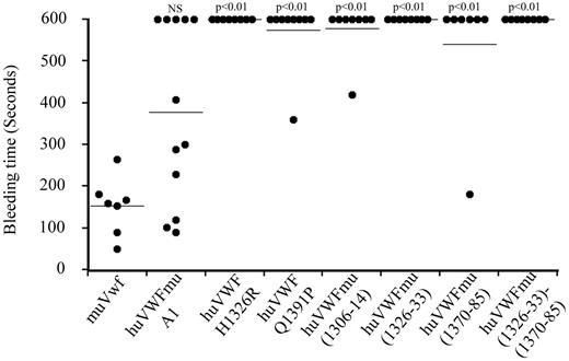 Figure 3. Analysis of the capacity of the different human-murine VWF chimeras to correct bleeding time of VWF−/− mice. Eight-week old VWF−/− mice received 150 μg of pCDNA6 containing the different constructs by hydrodynamic injection. Bleeding tests were done 24 hours after injection by the tail clip assay. Observation was stopped at 600 seconds when bleeding did not cease. Each dot represents an individual mouse, and the horizontal line represents the mean bleeding time per group. Statistical analysis was done using Fisher exact 2-sided test by comparison with muVwf. NS indicates not significant.