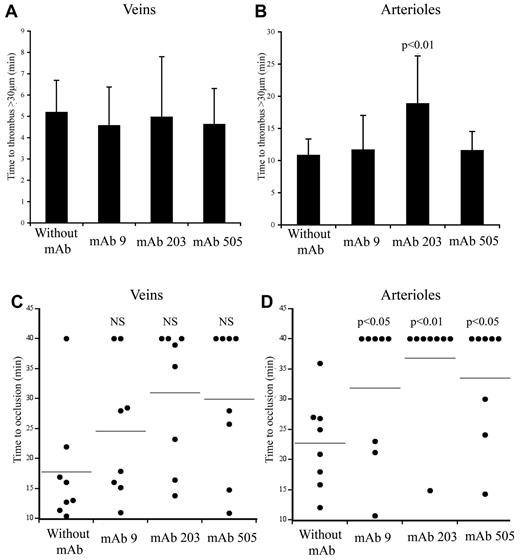 Figure 6. Effect of mAbs to VWF in thrombus formation in mice expressing huVWFmuA1. Four- to 5-week-old VWF−/− mice were hydrodynamically injected with 150 μg of pLIVE huVWFmuA1 cDNA by hydrodynamic injection. Four days later, mice were injected with 100 μg/mouse of mAb 9 (recognizing RGD-motif), mAb 203 or mAb 505 (both recognizing A3 domain), and thrombosis was induced by 7.5% FeCl3 exposure 30 minutes after mAb injection. The time necessary to form a thrombus of > 30 μm in veins (A) and in arterioles (B) was recorded. Statistical analysis was done using Wilcoxon-Mann-Whitney rank-sum test. Time to occlusion in veins (C) and arterioles (D) was also measured. NS indicates not significant. Results from individual mice are represented by a dot, and a horizontal line represents the average occlusion time for each group. Statistical analysis was done with Fisher exact 2-sided test.