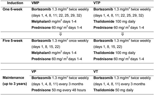 Figure 1. Schedule of induction and maintenance therapy. V indicates bortezomib; T, thalidomide; M, melphalan; and P, prednisone.