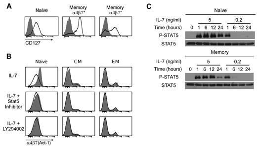Figure 4. IL-7–induced up-regulation α4β7 is unrelated to expression of the IL-7 receptor and depends on activation of both the JAK-STAT and PI3K signaling pathways. (A) Expression of the α-chain of the IL-7 receptor (CD127) in naive, memory α4β7+ and memory α4β7− CD4+ T cells as evaluated by flow cytometry in purified CD4+ T cells cultured for 24 hours in the presence or absence of IL-7 at 5 ng/mL. The shaded histograms denote the staining of IL-7–treated cells; the empty profiles denote the staining of untreated cells. (B) Inhibition of IL-7–mediated α4β7 induction in naive, CM and EM CD4+ T cells by specific Stat5 or PI3K inhibitors. Both inhibitors were used at 50μM; the cells were analyzed by flow cytometry using mAb Act-1 after 24 hours of culture in the presence of IL-7. Because both inhibitors were dissolved in DMSO, cells cultured in the absence of inhibitors were treated with equivalent amounts of DMSO (1:1000 vol/vol). The different CD4+ T-cell subsets were separately analyzed based on the expression of CD45RA, CD45RO, CD62L, and CCR7. The shaded histograms denote the staining of cytokine-treated cells; the empty profiles denote the staining of control, untreated cells. (C) Phosphorylation of Stat5 (P-STAT) in purified naive and memory CD4+ T lymphocytes exposed to different doses of IL-7 as tested by Western blot at various time points over a period of 24 hours. Time 0 indicates the baseline levels of expression before IL-7 treatment. The total amount of Stat protein (STAT) was measured in parallel in the same samples. Data are representative of at least 3 independent experiments performed with similar results.