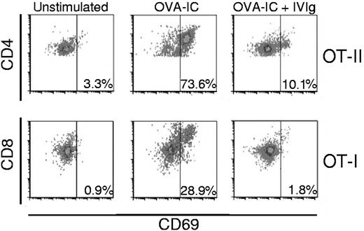 Figure 1. Prevention of OVA-IC–mediated OT-II (CD4) and OT-I (CD8) activation by IVIg. Equal numbers of bone marrow–derived dendritic cells (BMDCs) and OT-II (top panels) or OT-I (bottom panels) cells were incubated for 3 days in the presence of 2.5 μg/mL of OVA-IC prepared as described previously,1 with or without 10 mg/mL of IVIg (Gamunex). The background activation was established in the absence of OVA-IC (left panels). After incubation, the cells were recovered, washed and labeled with either anti–CD4-FITC or anti–CD8-PE and anti–CD69-APC (eBioscience). T-cell activation was determined by measuring the expression of CD69 on CD4- (top panels) or CD8- (bottom panels) gated cells by flow cytometry (Accuri C6 flow cytometer). The data were analyzed using the FCS Express 4.0 software (De Novo) and are representative of 4 independent experiments done with different lots of BMDCs.
