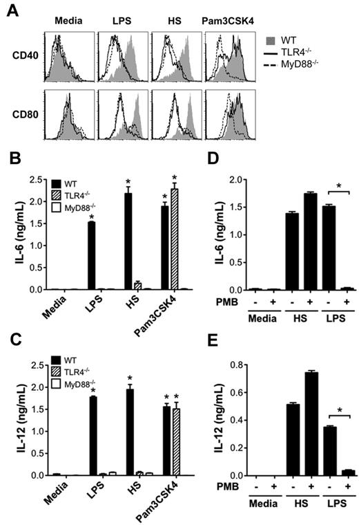 Figure 2. HS promotes DC maturation and production of proinflammatory cytokines via the TLR4-MyD88 pathway. (A) WT, TLR4−/−, or MyD88−/− BALB/c DCs (2 × 105/well) were stimulated with LPS (100 ng/mL), HS (100 μg/mL), or Pam3CSK4 (2 μg/mL), or left unstimulated (media) for 24 hours and then measured for surface expression of costimulatory molecules CD40 and CD80 by FACS analysis. (B-C) WT, MyD88−/−, and TLR4−/− BALB/c cultured DCs were cocultured with media alone, LPS, HS, or Pam3CSK4 as described in panel A, and culture supernatants were tested for IL-6 (B) and IL-12 (C) by ELISA. Data are representative of 3 independent experiments (*P < .05 compared with media alone). (D-E) Assay of DC production of IL-6 and IL-12 ± the addition of the LPS inhibitor PMB (10 μg/mL) after stimulation with media, HS, or LPS (*P < .05).
