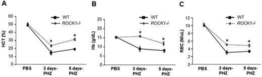 Figure 2. Elevated hematocrits and RBCs in ROCK1-deficient mice in response to stress. WT and ROCK1−/− mice were treated with PHZ (90 mg/kg at day 0). At the indicated time points (3 and 5 days), peripheral blood (PB; 20 μL/mouse) was collected from WT and ROCK1−/− mice. RBC (M/μL), Hb (g/dL), HCT (%), MCV (fL), MCH (pg), (MCHC g/dL), and RDW (%) in each sample was counted using an automated hemovet. Mean ± SEM of blood counts are presented in the line chart. (A) HCT, (B) Hb, and (C) RBC. For each analysis, (n = 6 mice per genotype for the 3 day time point; n = 5-7 mice per genotype for the 5 day time point and 3 mice per genotype for PBS condition).