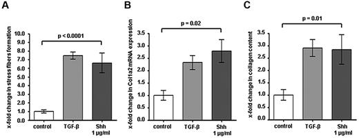 Figure 5. The Hedgehog pathway regulates fibroblast activation. (A) Stimulation of human cultured fibroblasts with Shh induced stress fiber formation in resting fibroblasts to the levels that can also be achieved by TGF-β stimulation. Stress fibers were visualized with phalloidin and quantified with ImageJ Version 1.44p software. (B) Incubation of human dermal fibroblasts with Shh increased the mRNA levels of col 1a2 as well as the release of collagen protein (C) similar to that obtained on stimulation with TGF-β (n = 5 each).