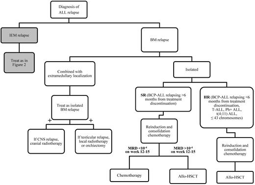 Figure 1. Algorithm that we follow for tailoring treatment of children with BM relapse of ALL according to the length of CR1, the immunophenotype of ALL, the presence of cytogenetic abnormalities, and the level of MRD after induction/consolidation therapy. IEM indicates isolated extramedullary relapse.