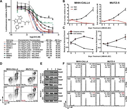 Figure 1. Inhibition of proliferation and induction of apoptosis by JQ1 in B-ALL. (A) Dose-response of B-ALL cell line viability using a luminescent ATP detection assay with JQ1 treatment. Error bars represent SEM; n = 4. Inset: The chemical structure of JQ1. Table shows 50% growth inhibition values (GI50) and maximum effected cells (Emax) with annotated characteristic translocations for each cell line. (B) MHH-CALL4 and MUTZ-5 cell numbers with 500nM JQ1 treatment, normalized to time = 0 levels. Error bars represent SEM; n = 4 counts. (C) Caspase-3 and -7 activity and cell viability with 500 nm JQ1 treatment; data shown relative to vehicle control values and normalized to baseline time = 0 levels. Error bars represent SEM; n = 3 measurements. (D) Cellular apoptosis after treatment with DMSO (Veh) or 500nM JQ1 for 48 hours by flow cytometry with PI and AV. (E) PARP immunoblotting with 500nM JQ1 treatment. *Cleaved PARP band; β-tubulin (TUB) shown as loading control. (F) Cell cycle analysis of total DNA content by PI staining with 500nM JQ1 treatment.