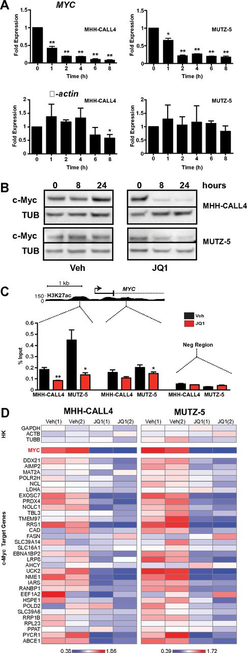 Figure 2. JQ1 decreases c-Myc expression in CRLF2-rearranged B-ALL. (A) Quantitative PCR analysis of MYC transcript levels in MHH-CALL4 and MUTZ-5 B-ALL cells treated with 500nM JQ1. β-actin expression shown as control. Data for each time point are normalized to vehicle control and presented as the ratio of expression compared with baseline expression at time = 0. Error bars represent ± SEM. *P < .1 (paired t test). **P < .01 (paired t test). (B) Immunoblotting for c-Myc in whole cell lysates of cells treated with 500nM JQ1. (C) ChIP with a BRD4 antibody at 2 sites within the MYC promoter region in cells treated with 500nM JQ1 for 4 hours. Enrichment is shown as the percentage of total input DNA. The negative control region primers amplify within a gene desert ∼ 1 Mb upstream of MYC. (D) Heatmaps of MYC and c-Myc target gene expression in MHH-CALL4 and MUTZ-5 cells treated with 500nM JQ1 for 4 hours. Scale bars represent fold expression changes of each gene relative to the average gene expression across the 4 samples. HK indicates housekeeping controls. Data for 2 biologic replicates are shown.1,2