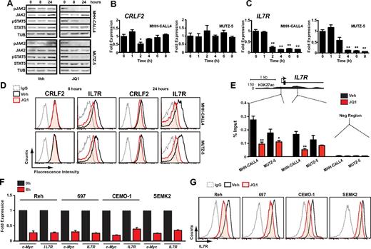 Figure 3. Bromodomain inhibition decreases IL7R expression and suppresses JAK2/STAT5 phosphorylation. (A) Immunoblotting of whole cell lysates from cells treated with 500nM JQ1 at indicated time points. (B) Quantitative PCR of CRLF2 transcript levels in MHH-CALL4 and MUTZ-5 cells treated with 500nM JQ1. Data for each time point are normalized to vehicle control and presented as a ratio of expression compared with baseline expression at time = 0. Error bars represent ± SEM. *P < .1 (paired t test). **P < .01 (paired t test). (C) Quantitative PCR analysis of IL7R transcripts levels, as in panel B. (D) Flow cytometry for CRLF2 and IL7R. Cells were treated with 500nM JQ1 or vehicle for 8 and 24 hours and stained with an antibody against the indicated target or an isotype IgG. (E) ChIP with a BRD4 antibody at 2 sites within the IL7R promoter region in cells treated with 500nM JQ1 for 4 hours. Enrichment is shown as the percentage of total input DNA. Negative control region primers amplify within a gene desert region ∼ 70 kb downstream of IL7R. *P < .1 (unpaired t test). **P < .01 (unpaired t test). (F) Quantitative PCR of MYC and IL7R expression and (G) flow cytometry of IL7R expression in B-ALL cell lines that lack CRLF2 rearrangements after 8-hour treatment with 500nM JQ1 or vehicle, as above.