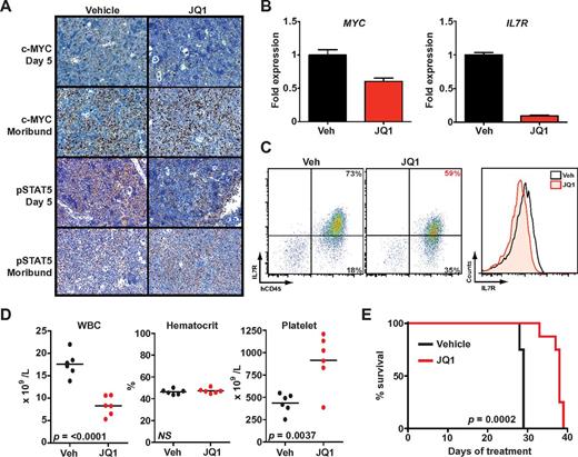 Figure 5. JQ1 decreases leukemic burden and improves survival in B-ALL primary human xenografts. (A) Immunohistochemistry for c-Myc30 and phospho-STAT5 (pSTAT5) in spleen samples obtained after 5-day treatment or at the moribund state. (B) Quantitative PCR of MYC and IL7R expression in leukemia cells harvested from spleens of mice treated for 5 days with JQ1 or vehicle (Veh). Error bars represent ± SEM; n = 3 PCR samples normalized to vehicle-treated sample. (C) Flow cytometry of splenic cells obtained after 5-day treatment with JQ1 or vehicle. Scatter plots on the left show overall IL7R expression versus hCD45. The histogram on the right is a quantification of total IL7R expression. (D) Peripheral blood cell counts after 5 days of treatment (n = 6 in each arm, mean levels for each sample marked). WBC indicates white blood cells. (E) Survival of engrafted mice treated with JQ1 (n = 9) or vehicle (n = 9).