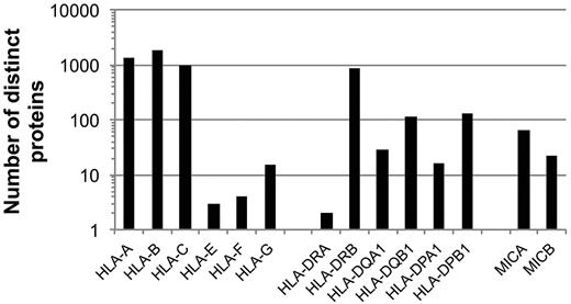 Figure 3. The HLA-A, -B, -C, and -DRB1 loci are the most polymorphic genes in the entire human genome. The number of distinct HLA-A, -B, -C, -E, -F, -G, -DRA, -DRB1, -DQA1, -DQB1, -DPA1, -DPB1, MICA, and MICB proteins collectively encoded by all known alleles at the corresponding MHC loci is indicated. Data were taken from http://www.ebi.ac.uk/imgt/hla/stats.html; accessed February 13, 2012.