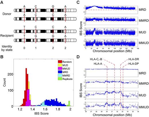 Figure 7. SNP genotyping with the use of high-density DNA arrays shows the fine structure of donor-recipient genetic identity both within and outside the MHC. (A) Definition of the concept of donor/recipient genetic identity by state (IBS). The genotypes of a hypothetical HCT donor/recipient pair at 4 SNPs located in different intervals on chromosome 1 are indicated by the letters above the corresponding positions on the donor and recipient chromosomes; the IBS score between donor and recipient at each of the 4 SNPs (either 0, 1, or 2 alleles shared) is indicated at the bottom of the panel immediately below the position of each SNP. (B) Distribution of the average IBS across 14 098 SNPs, all with minor allele frequency ≥ 0.2, on chromosome 6 for 1378 HCT donor/recipient pairs who received a transplant at the Fred Hutchinson Cancer Research Center between 1992 and 2004; genotypes were determined with the Affymetrix Human SNP 5.0 chip.76 The transplant pairs were classified as matched related donor (MRD; n = 595), mismatched related donor (MMRD; n = 122), matched unrelated donor (MUD; n = 347), or mismatched unrelated (MMUD; n = 302) pairs based on their relationship to one another and on their degree of HLA matching, as determined by sequencing of their HLA-A, -B, -C, -DRB1, and -DQB1 alleles (matched, 10 of 10 alleles; mismatched, < 10 of 10 alleles). The distribution of average IBS across the same 14 098 SNPs between 661 randomly selected pairs of persons in the cohort and between replicate genotypes for 45 persons is also shown. (C) The haplotype-based IBS in a sliding window of 7 adjacent SNPs calculated for all 26 814 SNPs on chromosome 6 with < 10% missing genotypes is plotted for the MRD, MMRD, MUD, and MMUD donor/recipient pairs. The haplotype-based IBS in a window of SNPs is the statistical expectation of the number of haplotypes shared by the donor and recipient, given their unphased SNP genotypes within that interval. (D) Magnified view of the haplotype-based IBS data from panel C for all of the SNPs in a 10-Mb interval on chromosome 6p that spans the entire MHC. The location of the HLA-A, -C, -B, -DRB1, and -DQB1 genes is indicated by the dashed vertical red lines.