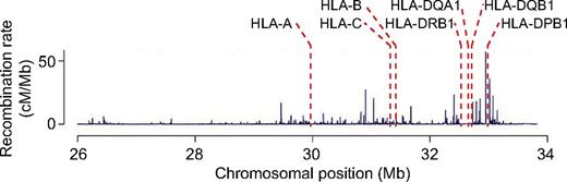 Figure 8. Weak linkage between the HLA-DP loci and the class I and telomeric portion of the class II regions of the MHC is primarily attributable to hot spots of recombination that lie just telomeric of HLA-DP. Map of observed recombination rate within an 8-Mb interval of chromosome 6p that spans the classic MHC. Adapted from de Bakker et al with permission.110