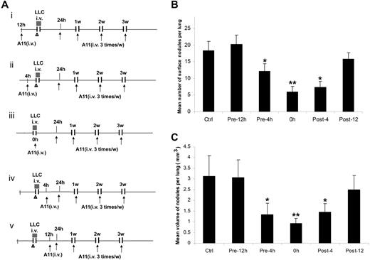 Figure 3. Effect of A11 on experimental metastasis of LLC. (A) The (i-ii) preventive and (iii-v) therapeutic protocols in a lung metastasis model are shown. i.v. indicates intravenous injection; and LLC, Lewis lung carcinoma. (B) Mean number of surface nodules per lung in the different treatments. (C) Mean volume of nodules per lung in the different treatment groups. Ctrl. indicates control scFv Ab 13CG2; n = 8/group, **P < .001, *P < .01.