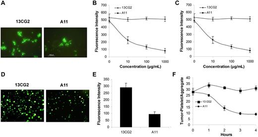 Figure 6. Molecular mechanisms by which A11 inhibits tumor metastasis. (A-B) Effect of A11 on the adhesion of tumor cells to platelets in vitro. (A) The adhesion of LLCs to activated platelets as observed under fluorescence microscope. (B) The quantitative analysis of adhesion of LLC with activated platelet in the presence of various concentration of A11, as measurements of fluorescent intensity under a fluorescence plate reader. The experiment was repeated 3 times and each concentration had 4 wells. (C) Effect of A11 on the adhesion of platelets to HUVECs in vitro. The extent of adhesion was expressed as the percentage of control platelets adhering without preincubation with A11 or control scFv (13CG2). The experiment was repeated 3 times and each concentration had 4 wells. (D-E) Effect of A11 on platelet-mediated tumor cell adhesion to endothelial cell in vitro. B16 melanoma cells adhesion to HUVECs was performed as described in “Assay of tumor cells adhesion to endothelial cells.” (D) The adhesion efficiency of B16 tumor cell was observed under a fluorescence microscope. (E) Quantitative result of adhesion of B16 melanoma cells with HUVECs. (F) Effect of A11 on the destruction of already formed tumor platelet aggregates. Data and SD are given for 3 separate experiments at 0.5μM reagent in which each time point represents 5 measurements.