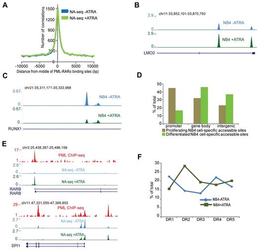 Figure 2. Dynamic accessible regions and PML-RARα binding. (A) Enrichment of the accessible regions over the PML-RARα binding sites before (blue) and after (green) ATRA treatment. The plot represents the number of accessible regions enriched over a distance of ± 10 kb starting from the middle of the PML-RARα binding sites. (B) Overview of the LMO2 gene region in proliferating (blue) and ATRA-treated (green) NB4 cells. The depicted region shows an increase in accessibility on ATRA treatment. (C) Overview of the RUNX1 gene region in proliferating (blue) and ATRA treated (green) NB4 cells. The depicted region shows a decrease in accessibility on ATRA treatment. (D) Genomic annotation of ∼ 2300 and 2900 sites that display dynamic accessibility, respectively, gaining signal in proliferating and in ATRA-differentiated NB4 cells. Accessible sites were sorted in promoter (−500 bp up to 100 bp downstream of transcription start site), gene body (intron and exon), or intergenic (everything else) regions. Analysis was performed using the “Genomatix” tool for annotation and statistics. (E) Overview of NA-seq (Nlalll + Hpall) data at the PML-RARα targets RARβ and SPI1 showing accessibility changes on ATRA treatment. PML ChIP-seq indicating PML-RARα binding sites is plotted in red. NA-seq data in untreated cells are plotted in blue, whereas NA-seq data for ATRA treated cells are plotted in green. (F) DR motif analysis for PML-RARα binding sites, which show gain of accessibility after ATRA treatment (NB4 + ATRA), and for PML-RARα binding sites that lose accessibility (NB4 − ATRA).