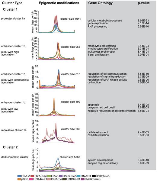 Figure 4. Unsupervised clustering of highly accessible regions. Catch clustering analysis of highly accessible regions in proliferating NB4 cells based on profiles of H2A.Z, H2A.Zac, H3ac, p300, H3K4me3, RNAPII, H3K4me1, H3K27me3, H3K9me3, H4K20me3, and DNA methylation. The plots represent the average number of tag counts in 20-bp bins over 5-kb windows for each epigenetic mark in all clusters. Only the relevant epigenetic marks are shown in each cluster profile. Gene Ontology (GO) and P value were calculated using the online web tool “DAVID”:Database for Annotation, Visualization, and Integrated Discovery.