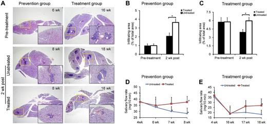 Figure 2. MSC treatment reduced inflamed tissue damage and improved salivary gland function in NOD/Ltj mice. (A-C) Histology of the submandibular glands of NOD/Ltj mice in untreated, prevention, and treatment groups. Pretreated indicates 6 weeks for prevention and 16 weeks for treatment groups; and 2 weeks post, 2 weeks later with or without MSC infusion (8 weeks for prevention and 18 weeks for treatment groups). Yellow box area is magnified in the black box. In the prevention group (B), the infiltrating area in the submandibular glands was significantly smaller than control (P = .017, n = 6). In the treatment group (C), the infiltrating area was significantly reduced 2 weeks after MSC infusion (P = .009, n = 6). (D-E) The saliva flow rate of NOD/Ltj mice before and after MSC infusion. The saliva flow rate began to decrease at ∼ 6 weeks of age and declined rapidly at 7 and 8 weeks of age. *Six, 7, and 8 weeks versus 4 weeks in the untreated group (all P < .05); n = 6. In the prevention group (D), the saliva flow rate returned to baseline (4 weeks level) 2 weeks after BMMSC infusion. #P = .977 (n = 6). (E) The saliva flow rate in the treatment group increased 2 weeks after BMMSC infusion (P = .045, n = 6), whereas the untreated group remained at a lower level.