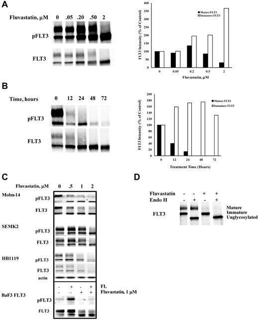 Figure 1. Fluvastatin prevents glycosylation of FLT3 and impedes receptor maturation. (A) BaF3 FLT3/ITD cells were treated with increasing concentrations of fluvastatin for 24 hours. Lysates were immunoprecipitated with anti-FLT3 antibody and resolved by SDS-PAGE and then probed with FLT3 or 4G10 antiphosphotyrosine antibodies. Quantitation of the upper and lower FLT3 bands is shown in the graph. (B) Cells were treated with 1μM fluvastatin for the indicated time points and analyzed for FLT3 expression as described. Quantitation of the upper and lower FLT3 bands is shown in the graph. (C) The effect of increasing fluvastatin concentration treatment for up to 24 hours on the FLT3-expressing cell lines HB1119, Molm-14, and SEMK-2 cells. In the bottom panel, wild-type FLT3-expressing BaF3 cells were treated ± 1μM fluvastatin for 24 hours followed by ± stimulation with 20 ng/mL FLT3 ligand for 5 minutes. (D) BaF3 FLT3/ITD cells were treated with 1μM fluvastatin for 24 hours after which immunoprecipitated FLT3/ITD was digested with endoglycosidase H for 1 hour. Results are typical of at least 3 independent experiments.