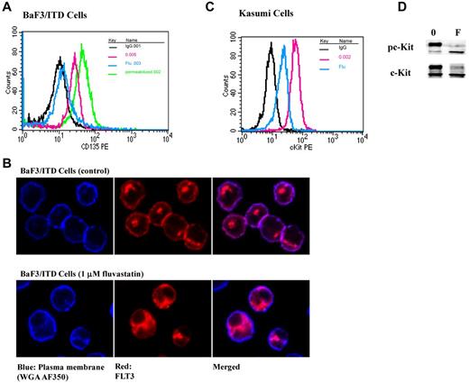 Figure 3. Fluvastatin prevents translocation of FLT3/ITD to the cell surface leading to intracellular accumulation of the immature form. (A) BaF3 FLT3/ITD cells were treated with 1μM fluvastatin for 24 hours. Afterward, surface or total FLT3/ITD was measured by incubating with CD135-PE for 30 minutes and analyzed by flow cytometry. The untreated cells are shown in red, fluvastatin-treated cells in blue, and total FLT3 from cells treated with fluvastatin and then permeabilized is shown in green. Cell-surface staining with IgG is shown in black for both the permeabilized and nonpermeabilized cells. (B) Cells treated with or without fluvastatin were adhered to poly-L-lysine slides and stained for plasma membrane (WGA-A350, blue) or FLT3 (Cy3, red). Slides were visualized by immunofluorescence microscopy using a Nikon TE2000 Eclipse microscope and 60 × 1.4 oil-immersion lens. (C) Kasumi cells were treated with 1μM fluvastatin for 24 hours and assessed for surface c-Kit expression. Cells stained with IgG are shown in black, untreated cells in red, and fluvastatin-treated cells in blue. (D) Western blot results show fluvastatin treatment led to a reduction in the amount of mature c-Kit expression in Kasumi-1 cells. Results are representative of at least 3 independent experiments.
