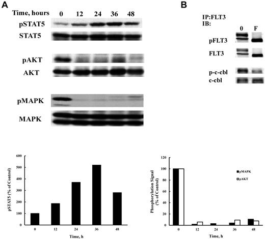 Figure 4. Fluvastatin alters FLT3/ITD signaling. (A) BaF3 FLT3/ITD cells were treated with 1μM fluvastatin for the indicated times and 50 μg of lysate from each time point was analyzed by SDS-PAGE and Western blotting. (B) Cells were treated with 1μM fluvastatin for 24 hours and lysates were immunoprecipitated with a FLT3 antibody (S-18). Blots were then probed for FLT3, phosphotyrosine, c-cbl, or phospho c-cbl. Typical results of 3 experiments are shown.
