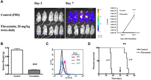 Figure 7. Fluvastatin reduces tumor burden in mice engrafted with FLT3/ITD cells. (A) Balb/c mice were injected via tail vein with 2 × 105 luciferase-positive BaF3 FLT3/ITD cells and treated with PBS (control) or fluvastatin at 20 mg/kg twice daily starting 3 days after injection. Mice were injected with luciferin and analyzed on an IVIS Spectrum imager on days 3 and 7. The mean (+ SEM) bioluminescence for the 5 mice in each group at days 3 and 7 is plotted on the right. (B) Twice-daily treatments were continued as described in panel A until mice became moribund (control group) at which point both groups of mice were euthanized and spleen weights (mean + SEM) were measured. (C) Peripheral blood from transplanted mice treated with or without 20 mg/kg fluvastatin twice daily on days 10 and 11 after transplantation was assayed for surface FLT3 expression. IgG-stained cells are shown in black, cells from PBS-treated mice in red, and cells from fluvastatin-treated mice in blue. (D) Survival of transplanted mice was assessed by twice-daily PBS or fluvastatin treatments from day 3 until day 30 (or until mice became moribund) at which point treatment was stopped (arrow). Five mice were used in each group and the experiment was conducted twice.
