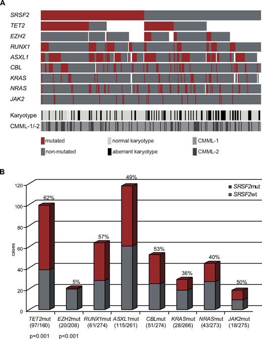 Figure 3. Alignment of gene mutations, karyotype information, and CMML category for 275 patients. (A) Each column represents 1 of the 275 analyzed samples. Analyses of 9 investigated genes, the karyotype, and CMML category-1 or -2 are depicted by colored bars. Red bar indicates mutated gene; dark gray bar, nonmutated gene; white bar, no data available; light-gray bar, normal karyotype; black bar, aberrant karyotype; gray bar, CMML-1; and anthracite bar, CMML-2. (B) Concomitant events of SRSF2 with other mutations are also shown as a bar chart. The gray part represents SRSF2wt, the red one SRSF2mut within the analyzed subcohorts. SRSF2mut frequencies and significances (P values) are denoted; numbers of mutated/analyzed cases of the subcohorts are given in parentheses below the bars..