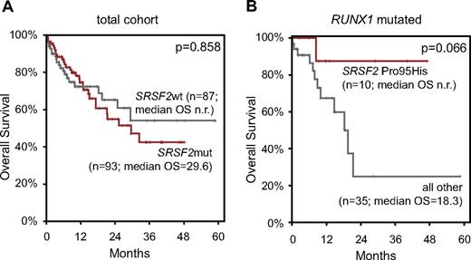 Figure 4. OS by Kaplan-Meier analyses of patients with CMML according to SRSF2 mutations. (A) OS of patients with SRSF2mut did not significantly differ from patients with SRSF2wt. (B) OS of patients positive for SRSF2 Pro95His compared with patients with all other SRSF2 mutations and SRSF2wt (= all other) within the RUNX1-mutated subcohort showed a favorable trend. OS is indicated in months and was compared with the 2-sided log-rank test. P values are denoted in each graph, respectively.