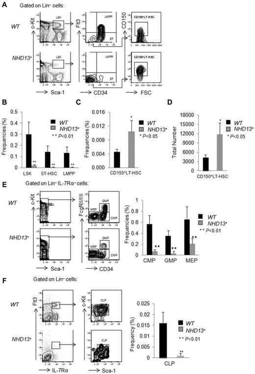 Figure 1. HSPC frequencies in NHD13+ Tg and control mice. Bone marrow (BM) cells from wild-type and NHD13+ Tg mice were harvested at 4 months of age and prepared for flow cytometric analysis. (A) Representative FACS plots show LSK, CD34, Flt3, and CD150 expression within WT and NHD13+ Tg mice BM cells. (B) The frequencies of LSK cells, ST-HSCs (LSKCD34+Flt3−) and LMPPs (LSKCD34+Flt3+) in WT and NHD13+ Tg mouse BM (mean ± SD, n = 7, *P < .05, **P < .01). (C) The frequency and (D) absolute number of CD150+ LT-HSCs (CD150+LSKCD34−Flt3−) in WT and NHD13+ Tg mouse BM are shown (mean ± SD, n = 7, *P < .05). (E left panel) The FACS plots and gating strategies used to identify CMPs (Lin−Sca-1− cKit+ IL-7Rα−CD34+FcgRlow), GMPs (Lin−Sca-1−cKit+IL-7Rα−CD34+FcgRhigh), and MEPs (Lin−Sca-1−cKit+IL-7Rα−CD34−FcgRlow) within the Lin−IL-7Rα−cKit+ population. Right panel, The frequencies of CMPs, GMPs, and MEPs in WT and NHD13+ Tg mice BM (mean ± SD, n = 8, **P < .01). (F left panel) Representative FACS plots of the gating strategy to identify the CLPs (Flt3+Lin−IL-7Rα+ckitintSca-1int) population. (Right panel) The frequency of CLPs in WT and NHD13+ Tg mice BM (mean ± SD, n = 8, **P < .01).