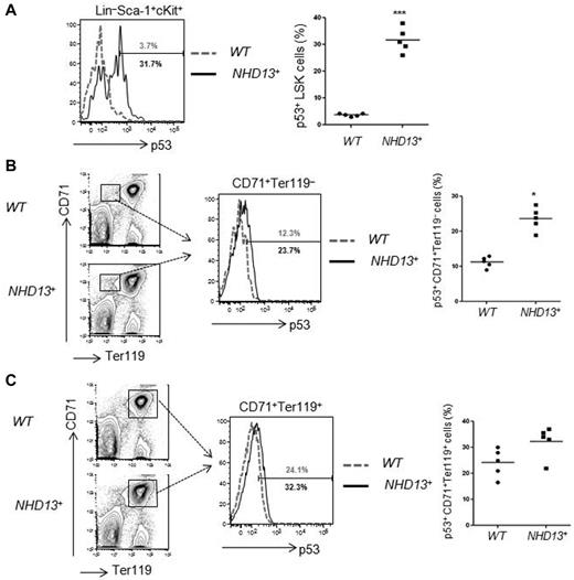 Figure 2. Increased p53 level in NHD13+ bone marrow cells. The intracellular p53 level was measured by flow cytometry. (A) Representative FACS profiles of p53 protein levels in WT (gray) and NHD13+ Tg (black) mouse bone marrow (BM) LSK (Lin−Sca-1+cKit+) cells. The graph on the right indicates the mean percentage of p53+ cells present (n = 5, ***P < .001). (B) Representative FACS profiles of p53 protein levels in WT (gray) and NHD13+ Tg (black) mice BM CD71+Ter119− cells. The bar graph on the right indicates the mean percentage of p53+ cells present (n = 5, *P < .05). (C) Representative FACS profiles of p53 protein levels in WT (gray) and NHD13+ Tg (black) mice BM CD71+Ter119+ cells. Data shown on the right are the mean percentage of p53+ cells present (n = 5, P = .052).