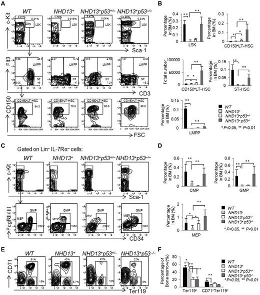 Figure 4. The loss of 1 or 2 p53 alleles does not rescue the MDS phenotype induced by NHD13 fusion protein. (A) Representative staining profiles for LSK cells, CD34, Flt3, and CD150 expression within BM cells of NHD13+, NHD13+p53+/−, and NHD13+p53−/− mice with MDS, compared with WT controls. (B) The frequencies of LSK cells, ST-HSCs, LMPPs, CD150+ LT-HSCs, and the total number of CD150+ LT-HSCs in NHD13+, NHD13+p53+/−, and NHD13+p53−/− mice with MDS are compared with WT control mice (mean ± SD, *P < .05, **P < .01). (C) Representative FACS profiles for CMPs (Lin−Sca-1− cKit+ IL-7Rα−CD34+FcgRlow), GMPs (Lin−Sca-1−cKit+IL-7Rα−CD34+FcgRhigh), and MEPs (Lin−Sca-1−cKit+IL-7Rα−CD34−FcgRlow) within the Lin−IL-7Rα−cKit+ population for the NHD13+, NHD13+p53+/−, and NHD13+p53−/− mice with MDS, compared with the WT control mice. (D) The frequencies of CMPs, GMPs, and MEPs in the NHD13+, NHD13+p53+/−, and NHD13+p53−/− mice with MDS, compared with WT control mice (mean ± SD, *P < .05, **P < .01). (E) Representative FACS profiles showing CD71 and Ter119 staining of BM cells isolated from NHD13+, NHD13+p53+/−, and NHD13+p53−/− mice with MDS, compared with WT control. (F) The frequencies of Ter119+ and CD71−Ter119+ cells in the NHD13+, NHD13+p53+/−, and NHD13+p53−/− mice with MDS, compared with WT controls (mean ± SD, *P < .05, **P < .01). The mice used for this figure were between 4 and 5 months old; n = 8 for each genotype.
