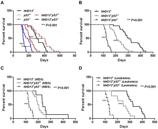 Figure 5. The inactivation of p53 decreases the survival of NHD13+ Tg mice with MDS or AML. (A) Kaplan-Meier survival curves for the NHD13+ (n = 23), NHD13+p53+/− (n = 25), NHD13+p53−/− (n = 18) mice with MDS or AML, and the p53+/− (n = 24), p53−/− (n = 23) control mice are shown. The P value represents the comparison of survival between the NHD13+p53−/− and p53−/− mice, or a comparison of survival between NHD13+p53+/− and p53+/− mice (***P < .001). (B) Survival curves for the NHD13+ (n = 23), NHD13+p53+/− (n = 25), and NHD13+p53−/− (n = 18) mice with MDS or AML. The P value represents a comparison of survival between the NHD13+p53−/− and NHD13+ mice, or between the NHD13+p53+/− and the NHD13+ mice (***P < .001). (C) Survival curves for the NHD13+ (n = 7), NHD13+p53+/− (n = 14), and NHD13+p53−/− (n = 10) mice with MDS. The P value represents the comparison of survival between NHD13+p53−/− and NHD13+ MDS mice (***P < .001). (D) Survival curves for the NHD13+ (n = 16), NHD13+p53+/− (n = 11), and NHD13+p53−/− (n = 8) mice with AML. The P value represents a comparison of survival between NHD13+p53−/− and NHD13+ mice, or between NHD13+p53+/− and NHD13+ mice (***P < .001).