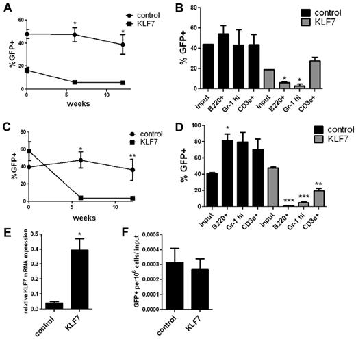 Figure 3. KLF7 overexpression inhibits bone marrow reconstitution. (A) Bone marrow cells transduced with MSCV expressing KLF7 or vector alone were transplanted into lethally irradiated recipients, and peripheral blood was analyzed 6 and 12 weeks after transplantation. Transduction efficiency was determined by measuring the percentage of GFP+ KLS cells just before transplantation (72 hours after viral exposure, time = 0). Data represent 2 individual experiments with 3-5 mice per genotype per experiment. *P < .001. (B) Shown is the percentage of donor B cells (B220+), T cells (CD3e+), and neutrophils (Gr-1 high) that were GFP+ from 1 representative experiment. *P < .01. (C) Bone marrow cells were transduced with HIV-MND–expressing KLF7 or vector alone at a low multiplicity of infection were transplanted into irradiated congenic recipients and the percentage GFP+ leukocytes in the blood measured. Data represent 3 independent experiments. *P < .001. **P < .05. (D) The percentage of donor B cells (B220+), T cells (CD3e+), and neutrophils (Gr-1 high) that were GFP+ at 6 weeks after transplantation. *P < .05. **P < .01. ***P < .0001. (E) GFP+ cells were sorted 72 hours after viral transduction and RNA analyzed by real-time RT-PCR for KLF7 expression. Data are normalized to β-actin and represent 2 independent experiments. *P = .043. (F) To assess homing, GFP+ KLS cells were transplanted into irradiated recipients and the number of GFP+ cells recovered from the bone marrow 20 hours later determined. Shown are the number of GFP+ cells per 106 whole bone marrow cells, corrected for the number of cells injected. Data represent 3 individual experiments, with 3-6 mice per condition.