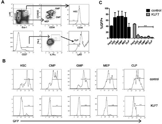 Figure 4. KLF7 overexpression suppresses hematopoietic stem and progenitors. Bone marrow stem and progenitor populations were analyzed by flow cytometry 6 weeks after transplantation with control or KLF7 lentivirally transduced cells. (A) Gating strategy used to identify HSCs (KLS CD34−), common myeloid progenitors (CMP, Lin− c-Kit+ Sca-1− CD16/32lo CD34+), granulocyte-monocyte progenitors (GMPs, Lin− C-Kit+ Sca-1− CD16/32hi CD34+), and megakaryocytic-erythroid progenitors (MEP, Lin− c-Kit+ Sca-1− CD16/32lo CD34−; top panel) and common lymphoid progenitors (CLP, Lin− CD27+ IL7R+ Flk-2+ Ly6D−; bottom panel). Cells are first gated on live, donor, and lineage-negative populations. (B) Representative histograms showing GFP expression in the indicated progenitor cell population. (C) A summary of the percentages of donor cells that are GFP+ for the indicated progenitor population is provided. Input refers the percentage of bone marrow cells that were GFP+ at the time of transplantation. Data represent the mean ± SEM of 2 independent experiments. ***P < .001.