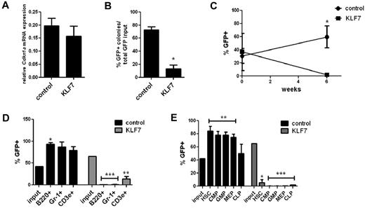 Figure 5. KLF7 suppression of HSPC function is not mediated by CDKN1A. (A) Cdkn1a mRNA expression relative to β-actin in GFP+ KLS cells 72 hours after transduction with lentivirus expressing KLF7 or vector alone. (B) Bone marrow cells exposed to KLF7 or control lentivirus were plated in methylcellulose and colonies scored on day 7. The percentage of GFP+ colonies is shown, normalized for the transduction efficiency. Data represent 2 independent experiments, plated in duplicate. *P = .0002. Cdkn1a−/− bone marrow was transduced with KLF7 or control lentivirus and transplanted into irradiated congenic recipients. Six weeks after transplantation, the percentage of donor leukocytes (C), cells of the indicated hematopoietic lineage (D), or indicated progenitor cell population (E) that was GFP+ was determined. Time zero in panel C refers to the transduction efficiency. Input indicates the percentage of GFP+ cells at the time of transplantation. Data represent 2 individual experiments, each with 5 or 6 mice per genotype. *P < .01. **P < .05. ***P < .0001.