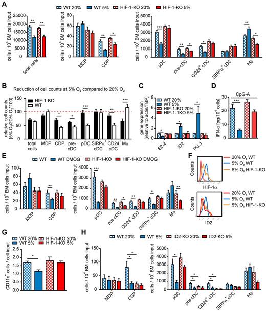 Figure 1. Impact of hypoxia and HIF-1α on BM cell differentiation in vitro. (A-E) BM single-cell suspensions of either WT or HIF-1αfl/fl LysM-Cre (HIF-1-KO) mice were generated. A total of 2 × 106 cells/mL were seeded in Ultra-Low attachment plates. (A-D) Cells were cultured with 200 ng/mL Flt3-L at 20% or 5% O2 for 9 days. (A,E,H) Total numbers of the indicated cell populations were determined by flow cytometry. For gating strategies, see supplemental Methods and supplemental Figure 2. (A) Data are mean ± SEM of cells cultured from 6 animals of each genotype (3 independent experiments using cells of 2 mice each). (B) Relative changes in cell counts of the indicated populations under 5% versus 20% O2 in WT or HIF-1-KO cultures were compared. The red dotted line indicates the 20% O2 control values. Data are mean ± SEM of cells cultured from 10 animals of each genotype (4 independent experiments using cells of 2 or 3 mice each). (C) Relative mRNA expression of E2-2, ID2, and PU.1 quantified by quantitative PCR is shown. mRNA levels of 20% O2 WT or HIF-1-KO were set to 1. Data are mean ± SEM of 4 independent experiments using pooled cells of 2 or 3 mice each. (D) IFN-α secreted from 104 cells in 10 μg/mL CpG-stimulated BM cultures was determined by ELISA. Data are mean ± SEM of cells cultured from 6 animals of each genotype (3 independent experiments using cells of 2 mice each). (E) Cells were cultured with 200 ng/mL Flt3-L with or without 100μM DMOG for 9 days. Data are mean ± SEM of cells cultured from 8 animals of each genotype (3 independent experiments using cells of 2 or 3 mice each). (F-G) Monocyte/DC progenitors and common DC progenitors were isolated from whole BM cell suspensions of WT or HIF-1-KO mice using untouched magnetic separation followed by FACS sorting (see supplemental Methods and supplemental Figure 4), and 104 cells/well were seeded in Ultra-Low attachment plates. Cells were cultured with Flt3-L at 20% or 5% O2 for 48 hours. (F) Intracellular expression of HIF-1α and ID2 in cultured MDPs/CDPs was quantified by flow cytometry using biotin-coupled HIF-1α and ID2 antibodies and streptavidin-PE-CF495 (see supplemental Methods and supplemental Figure 5). A representative histogram of 3 independent experiments using pooled cells of 2 or 3 mice each is shown. (G) The number of CD11c-expressing cells generated from MDPs/CDPs on 48-hour culture is shown. Data are mean ± SEM of 3 independent experiments using pooled cells of 2 or 3 mice each. (H) A total of 2 × 106 BM cells of ID2-KO and respective WT mice were cultured with 200 ng/mL Flt3-L at 20% or 5% O2 for 9 days. Data are mean ± SEM of cells cultured from 8 animals of each genotype (3 independent experiments using cells of 2 or 3 mice each). Data were analyzed using GraphPad Prism Version 5.0 for Windows. P values were calculated using Student t test (B) or 1-way ANOVA (A,C-E,G-H) with Bonferroni correction. Significant differences between experimental groups: *P < .05, **P < .01, ***P < .001.