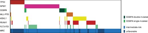 Figure 2. Mutation pattern of AML cases with intermediate and unfavorable cytogenetics. Distributions and frequencies are given for aberrations in TP53, NPM1, CEBPA, MLL-PTD, ASXL1, RUNX1, and FLT3-ITD. The patient cohort is further annotated according to cytogenetics. Cases with favorable risk cytogenetics were not included, as not all molecular markers were analyzed in all cases of this subset because the hierarchical model prognostic assignment was based on the detection of the specific fusion transcript irrespective of further mutations.