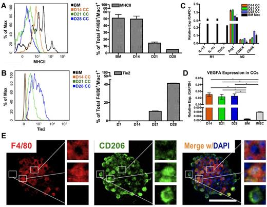 Figure 4. Endothelial cells impart M2 polarity on colony macrophages. (A) MHCII expression in colony cells is reduced on coculture, as determined by FACS overlay graph (left) and quantification (right; n = 3). (B) Tie2 expression in colony cells is gradually increased over time as shown by FACS overlay graph (left) and quantification (right; n = 3). (C) Colony cells exhibit M2 macrophage markers but not M1 markers, as detected by real-time PCR analysis. Ctrl indicates bone marrow–derived macrophages stimulated with 50 ng/mL LPS (for M1 control) or with 5 ng/mL IL-4 (for M2 control) for 24 hours (n = 6). (D) Colony cells express high level of Vegfa transcripts. (E) Immunolocalization of F4/80 (pan macrophage marker, red) and CD206/Mrc1 (M2 macrophage marker, green) in a macrophage colony. Note that cells in the center of the colony are F4/80+ and CD206−; cells on the periphery are F4/80− and CD206+; cells in between are positive for both markers. Colony shown is from day 14 coculture. DAPI indicates staining for nucleus (blue). Scale bar, 50 μm (*P < .05; unpaired Student t test).