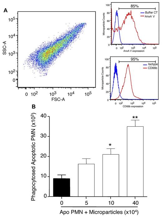 Figure 1. PMN MPs enhance macrophage efferocytosis of apoptotic PMN. PMN MPs were obtained after PMN stimulation with formyl-methionyl-leucyl-phenylalanine (1μM). (A) The MP population (left panel) was monitored by flow cytometry using fluorescently conjugated AnxAV (right top panel) and anti-CD66b (right bottom panel). (B) Macrophages were prepared by differentiating peripheral blood monocytes in the presence of GM-CSF for 7 days. These were incubated with MP for 5 minutes before the addition of apoptotic (Apo) PMN. Uptake of the CFDA-labeled Apo PMN (3 × 105 cells/well) was monitored after 1-hour incubation (37°C) by assessing the levels of fluorescence (see “Phagocytosis”). (B) Results are expressed as mean ± SEM (n = 4 distinct cell preparations). *P < .05 vs macrophage plus PMN group. **P < .01 vs macrophage plus Apo PMN group.