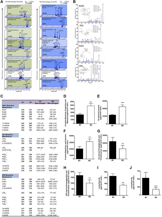 Figure 5. Distinct macrophage subtypes biosynthesize specific lipid mediator profiles. M1 and M2 macrophages were prepared from primary human monocytes after incubation with GM-CSF (20 ng/mL), IFN-γ (20 ng/mL), and LPS (100 ng/mL) to produce M1 or M-CSF (20 ng/mL) and IL-4 (20 ng/mL) to obtain M2. Incubations were stopped with ice-cold MeOH and taken for LC-MS/MS analysis (see “Sample extraction and lipid mediator metabololipidomics”). (A) Representative MRM chromatograms for the identified LM. Peak heights represent the relative levels of each mediator in the different macrophage subtypes. Cumulative levels for each lipid mediator category are represented as a function of color intensity, where color scales (eg, white to green for M1 macrophages and white to purple for M2 macrophages) are set from zero to 35 000 pg per 2.5 × 106 cells. (B) Accompanying MS/MS spectra used for identification. (C) Lipid mediator and precursor/pathway marker transition along with mean ± SEM values for each of the mediators identified. The detection limit was ∼ 1 pg. *Below limits. Cumulative values: (D) D-series resolvins, protectins, and maresins. (E) Lipoxins. (F) E-series resolvins and lipoxins. (G) Prostaglandins and thromboxanes. (H) EPA-derived prostaglandins and thromboxanes. (I) Leukotriene B4 (and 20-OH LTB4 metabolite). (J) Leukotriene B5. (D-J) Results are ± SEM; n = 8 distinct cell preparations. *P < .05 vs M1 group. **P < .01 vs M1 group.
