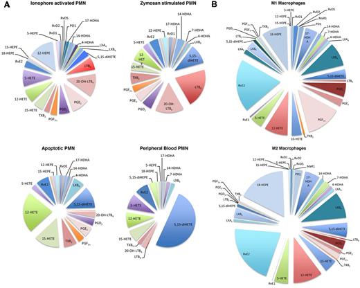 Figure 6. PMN and macrophage characteristic lipid mediator constitution. Lipid mediator levels were assessed for (A) ionophore-activated, zymosan-stimulated, apoptotic PMN and intact PMN (B) M1 and M2 macrophages. Results are representative of 4-8 separate cell preparations. For quantitative values, see Figures 3 and 5.