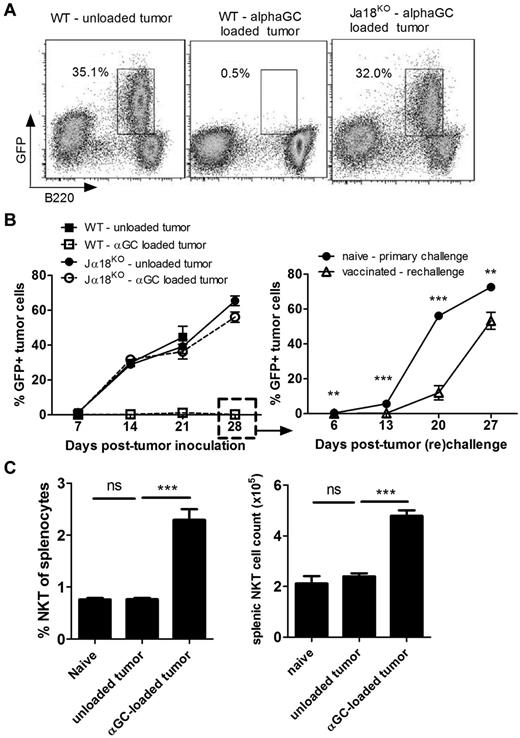 Figure 1. Prophylactic vaccine inhibits Eμ-myc–driven lymphoma in immunocompetent mice. WT and Jα18KO C57BL/6 mice received 1 × 105 live, unloaded, or α-GalCer–loaded Eμ-myc 299 tumor cells intravenously. (A) Representative flow cytometry plots showing tumor burden (gated B220+GFP+ cell population) at day 14 in blood in WT and Jα18KO mice. (B) Data are mean ± SEM (n = 5); tumor burden in blood of WT and Jα18KO mice challenged with unloaded or αGalCer-loaded tumor cells. Vaccinated WT mice were rechallenged at day 28 with 1 × 105 parental Eμ-myc tumor cells, and tumor growth was compared with equivalent tumor inoculation into naive WT mice (right graph). (C) Percentage (left graph) and total cell count (right graph) of CD1d tetramer+ NKT cells in spleen of non–tumor-bearing or Eμ-myc tumor-bearing mice 7 days after inoculation. **P < .001 (unpaired t test). ***P < .0001 (unpaired t test). ns indicates not significant. Two independent experiments were performed.