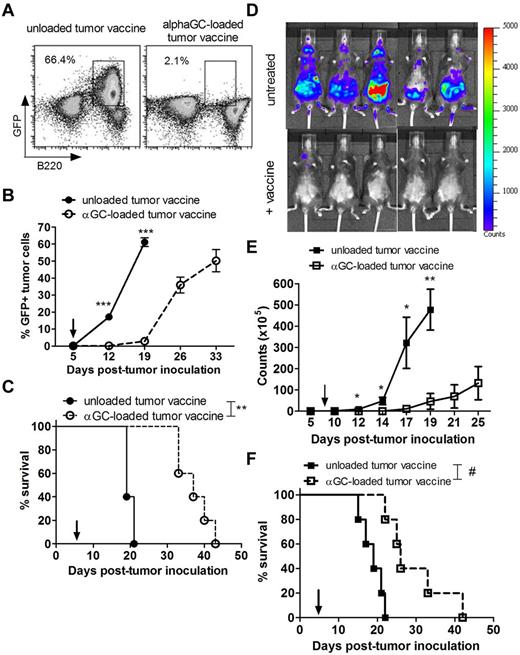 Figure 2. Suppression of established Eμ-myc tumor growth in mice treated with α-GalCer–loaded tumor vaccine. WT mice were challenged with 1 × 105 GFP-expressing Eμ-myc 299 tumor cells (A-C) or 1 × 105 luciferase-expressing Eμ-myc 4242 tumor cells (D-F) and 5 days later treated with a single administration of irradiated, unloaded, or α-GalCer–loaded autologous Eμ-myc tumor cells. (A) Representative flow cytometry plots showing 299 tumor burden (gated B220+GFP+ cell population) at day 19 in blood. (B) Data are mean ± SEM (n = 5) 299 tumor burden in blood of WT mice after vaccine treatment. ***P < .001 (unpaired t test). (C) Overall survival of mice (n = 5) receiving unloaded or α-GalCer–loaded 299 tumor vaccine on day 5. **P = .002 (log-rank test). (D) Representative in vivo bioluminescent images of Eμ-myc 4242 tumor burden (luciferase activity) in untreated (top panels) or vaccine-treated (bottom panels) mice at 14 days after tumor inoculation. (E) Data are mean ± SEM (n = 5) bioluminescent photon counts of total 4242 tumor burden in the whole mouse quantified from live bioluminescent imaging as in panel A. **P < .005 (unpaired t test). *P < .05 (unpaired t test). (F) Overall survival of untreated or vaccine-treated mice (n = 5). #P = .004 (log-rank test). Arrows indicate day of vaccination. Three independent experiments were performed.