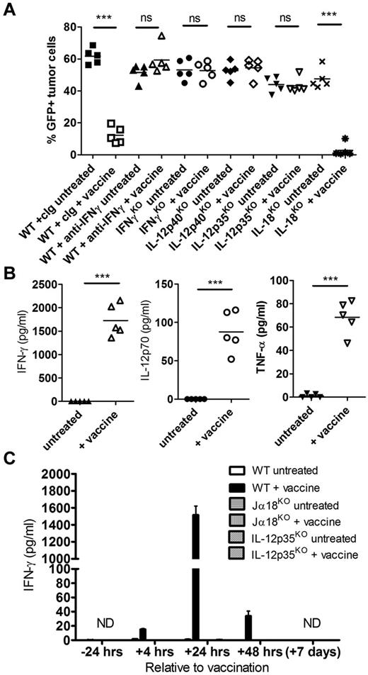 Figure 4. Systemic IL-12–dependent IFN-γ production after vaccination is required for lymphoma growth inhibition. WT or genetic cytokine knockout mice were challenged with 1 × 105 Eμ-myc 299 tumor cells and treated on day 5 with irradiated, α-GalCer–loaded tumor cells, or left untreated. (A) Eμ-myc tumor burden in blood 19 days after tumor inoculation, in untreated or vaccine-treated WT, IFN-γKO, IL-12KO (p35KO and p40KO), and IL-18KO mice. As indicated, some WT mice received mAb-based depletion of IFN-γ or isotype control mAb (cIg). (B) Serum cytokine levels from Eμ-myc tumor-bearing WT mice 24 hours after vaccination compared with untreated mice. (C) IFN-γ levels in serum from WT, NKT cell–deficient (Jα18KO), and IL-12–deficient (IL-12p35KO) mice at various time points relative to vaccination. Data are mean ± SEM; n = 5 mice. ND indicates not detected. ***P < .0001 (unpaired t test). ns indicates not significant. Two or 3 independent experiments were performed.