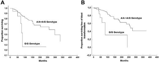 Figure 1. Comparison of survival. OS (A) and BT-free survival (B) in patients who are JAK2V617F mutated and who bear the G/G genotype of the glucocorticoid receptor A3669G polymorphism versus those who bear the A/G or A/A genotype.