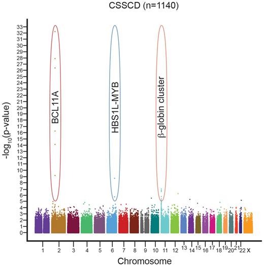 Figure 2. Genome-wide association studies have revealed 3 loci consistently associated with HbF level and β-globin disorder severity, across various ethnic backgrounds. These include the β-globin cluster itself on chromosome 11, the HBS1L-MYB intergenic interval on chromosome 6, and BCL11A on chromosome 2. A representative Manhattan plot is shown from the CSSCD cohort. Figure courtesy of Guillaume Lettre (Montreal Heart Institute).