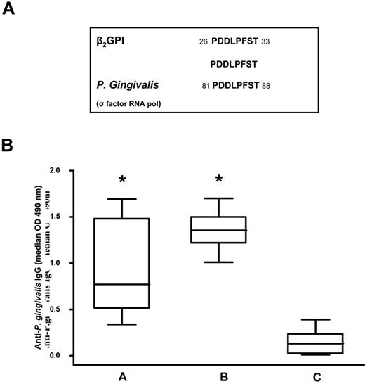 Figure 2. Sequence homology between the β2GPI peptide and P gingivalis and anti–P gingivalis immunoreactivity. (A) Sequence homology between β2GPI peptide and P gingivalis. (B) Box-whisker plots of anti–P gingivalis IgG in patients with SLE and APS positive for anti-β2GPI peptide IgG (A group), subjects with moderate chronic periodontitis (B group), and healthy subjects without periodontitis and autoimmune diseases (C group). Median, quartiles, range, and possibly extreme values are indicated. Statistical analysis was performed with the Mann-Whitney test. *P < .001 compared with the C group.