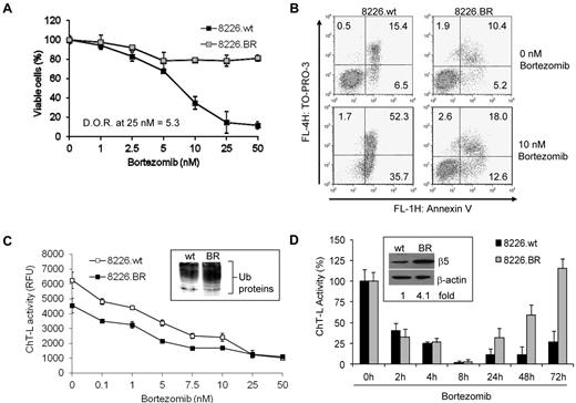 Figure 1. BR myeloma cells remain sensitive to bortezomib treatment and recover proteasome activity. (A) The degree of resistance (D.O.R.) of cells tolerant of bortezomib, compared with their drug-naive counterparts, was evaluated by examining live cell populations using the WST-1 proliferation assay after exposure to bortezomib for 24 hours. Data shown are representative from triplicate experiments. (B) Apoptosis was evaluated in 8226.wt and 8226.BR cells by staining with annexin-V and TO-PRO-3. Data shown are representative from duplicate experiments. (C) Dose-dependent effects of bortezomib on the proteasome ChT-L activity were measured using cellular extracts. Inset, ANBL-6.wt and ANBL-6.BR cells propagated in the absence of bortezomib were probed for their content of ubiquitin-protein conjugates. (D) Time-dependent effects of bortezomib (10nM) on proteasome ChT-L activity were examined in 8226.wt and 8226.BR cells. Inset, expression of the basal level of the β5 proteasome subunit was examined by Western blotting and quantified by densitometry after normalization for loading using β-actin as a control. Data are representative from experiments performed in triplicate, and error bars indicate SD.
