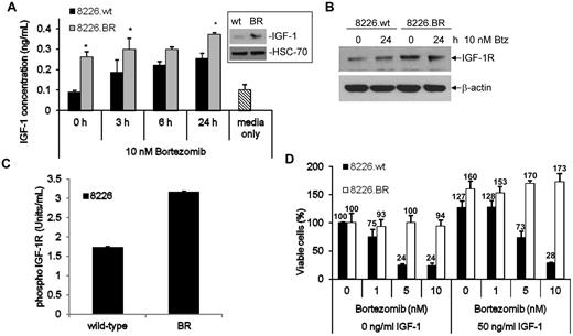 Figure 2. BR cells have increased expression and activation of the IGF-1/IGF-1R signaling pathway. (A) The levels of soluble IGF-1 present in cellular supernatants of cells grown in culture overnight were determined using an ELISA. The student's paired t test was used to determine statistical significance (*P < .05 compared with wild-type time points). Data shown are representative from triplicate experiments, and error bars denote ± SD. Basal levels of IGF-1 protein expression were confirmed by Western blotting (inset). (B) IGF-1R expression was determined by Western blotting in cells exposed to vehicle or 10nM bortezomib for 24 hours. (C) Activation of IGF-1R was determined in RPMI 8226 and OPM-2 drug-naive and BR cells using an ELISA. Data shown are representative of 2 experiments, and error bars denote ± SD. Concentrations were determined using a standard curve with activated IGF-1R supplied by the manufacturer. (D) 8226.wt and 8226.BR cells were propagated for 24 hours in media supplemented with 50 ng/mL of human recombinant IGF-1 (right) or IGF-1–free media (left), followed by bortezomib addition for an additional 24 hours, and viable populations were determined using the WST-1 reagent. Data shown are representative from triplicate experiments, and error bars are ± SD.